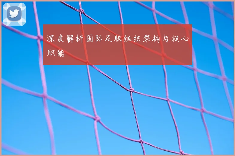 深度解析国际足联组织架构与核心职能