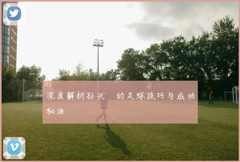 深度解析孙兴慜的足球技巧与成功秘诀
