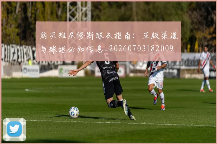 购买维尼修斯球衣指南：正版渠道与球迷必知信息_20260703182009